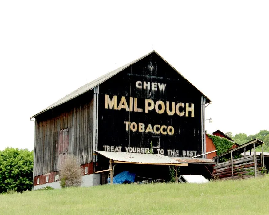 Mail Pouch