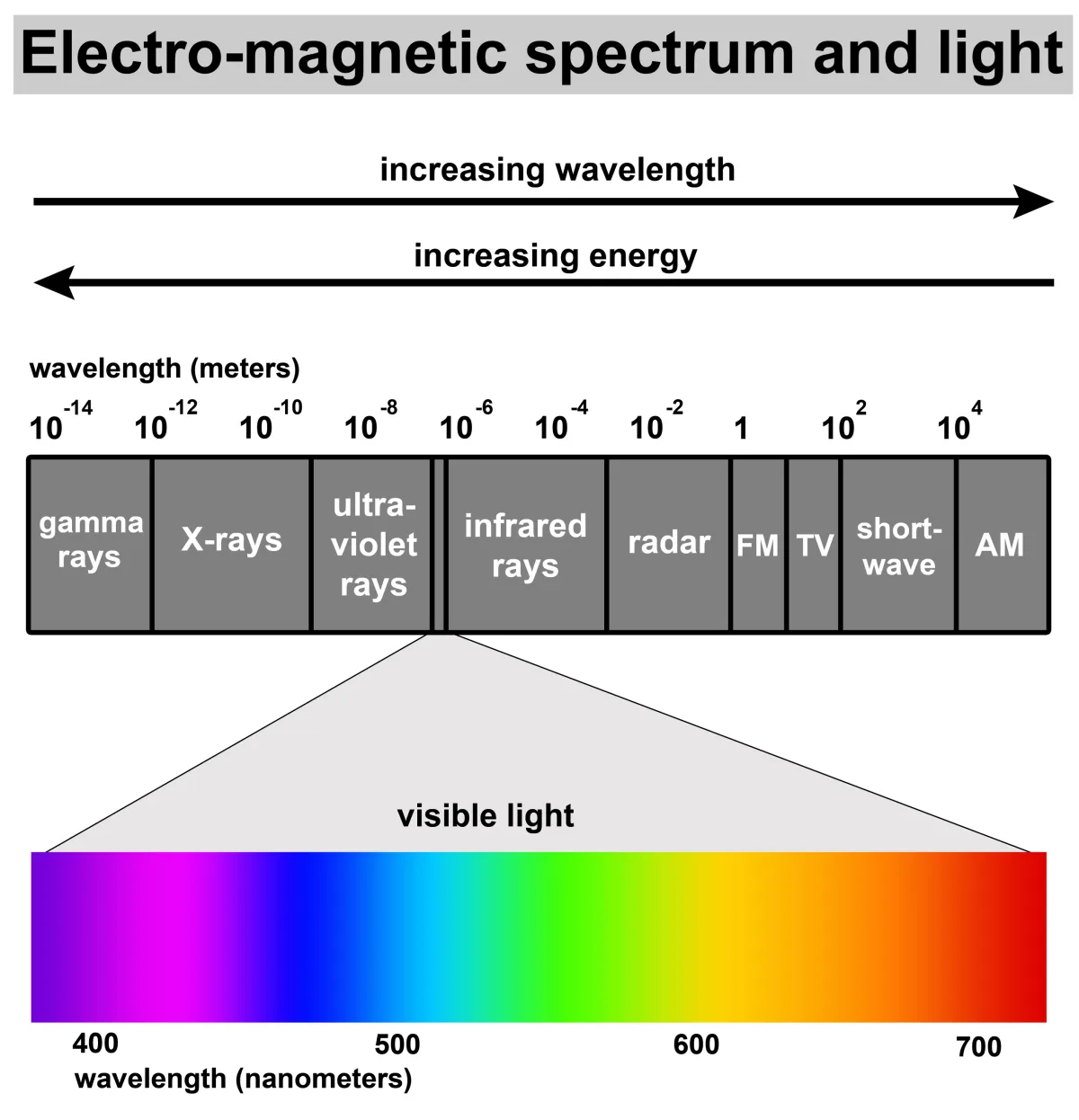 The Spectrum